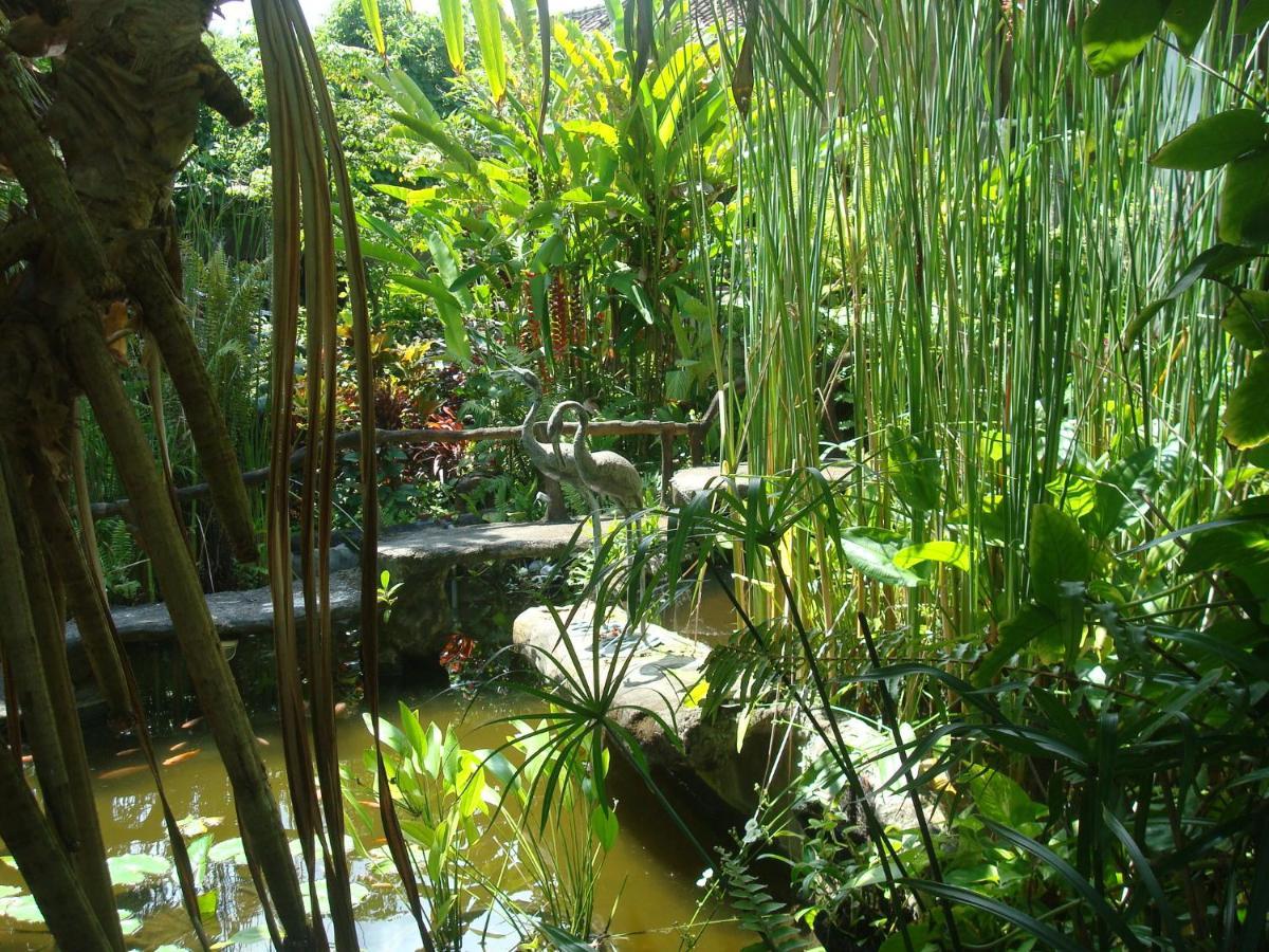 Villa Arjuna Seraya エクステリア 写真